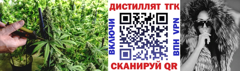 купить наркоту Княгинино Дистиллят ТГК Wax