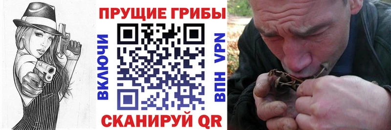 где купить наркоту  Княгинино  это состав  Псилоцибиновые грибы GOLDEN TEACHER 
